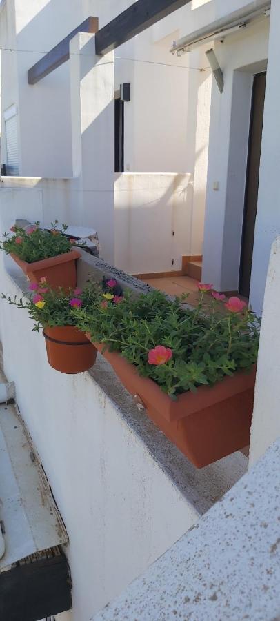 Condado de alhama, naranjos 8 Alhama de Múrcia Exterior foto